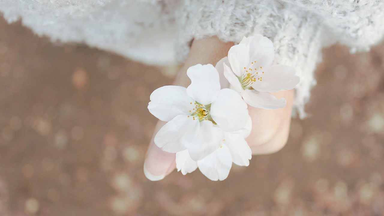 Flowering Thunder